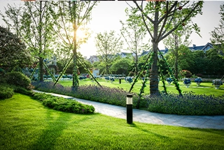 Green Landscaping